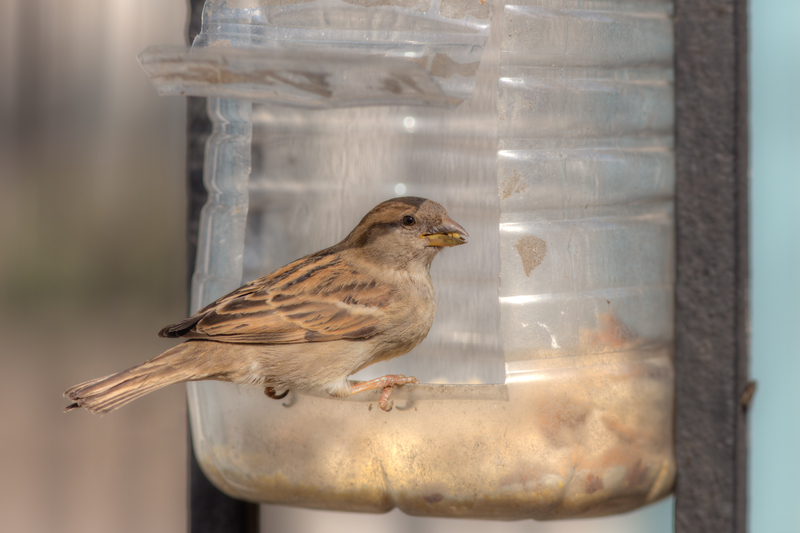 Giving Your Pots and Pans a New Purpose at Home